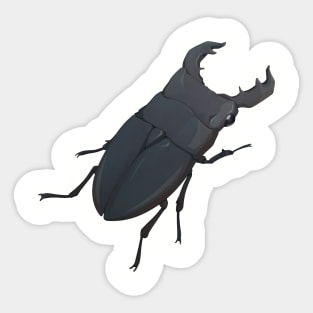 Stag Beetle Sticker